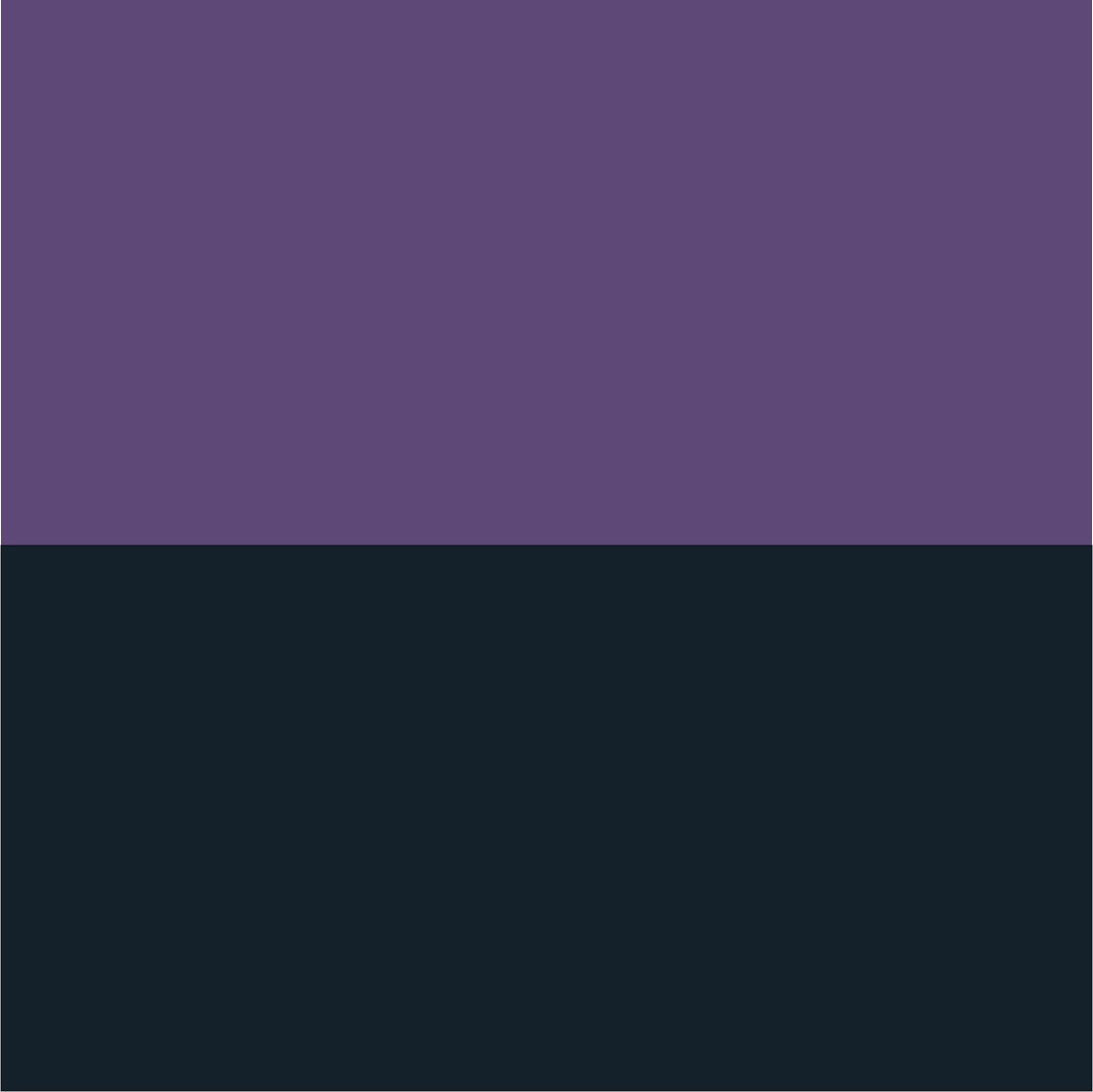 Purple/Dark Grey
